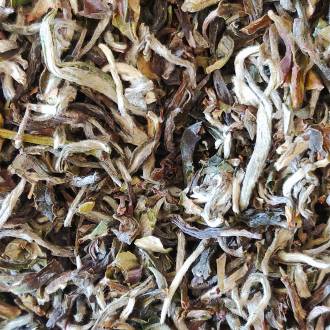 First Flush Darjeeling Namring Upper 2021 - FTGFOP1 