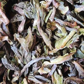 First Flush Darjeeling Avongrove 2021 - FTGFOP1