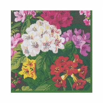 Serviet - Exuberance