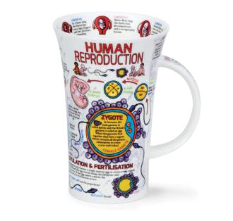 Dunoon - Glencoe - Human Reproduction