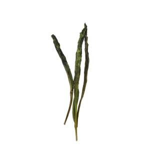 Tai Ping Hou Kui