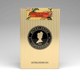 Green Apple Chai Organic - 100 stk. pyramidetebreve