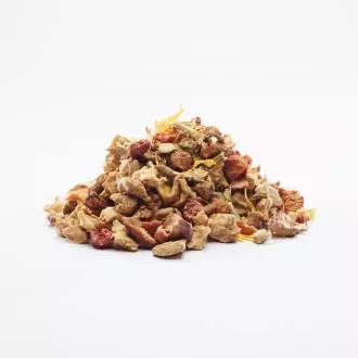 Double Ginger Happiness Te 1000g