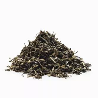 Grøn Darjeeling Steinthal Te, Økologisk