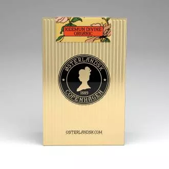 Green Apple Chai Organic - 100 stk. pyramidetebreve