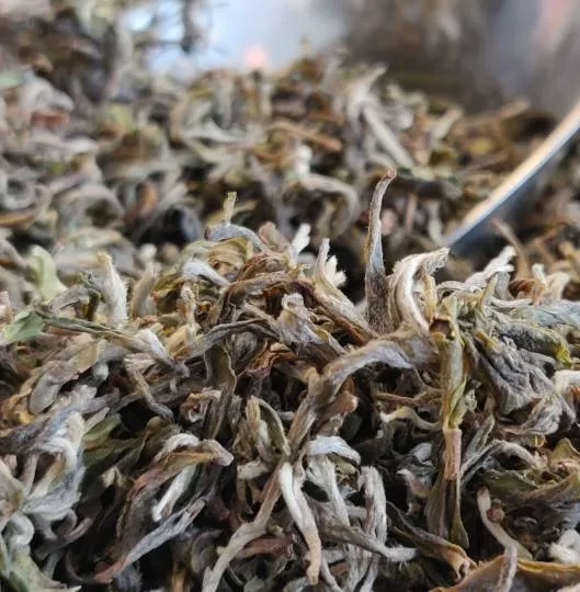 Darjeeling SFTGFOP1 SINGBULLI First Flush 2020