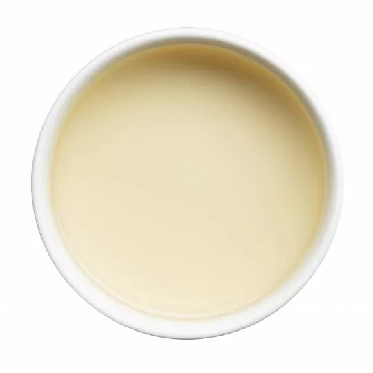 Malawi White Antlers Te