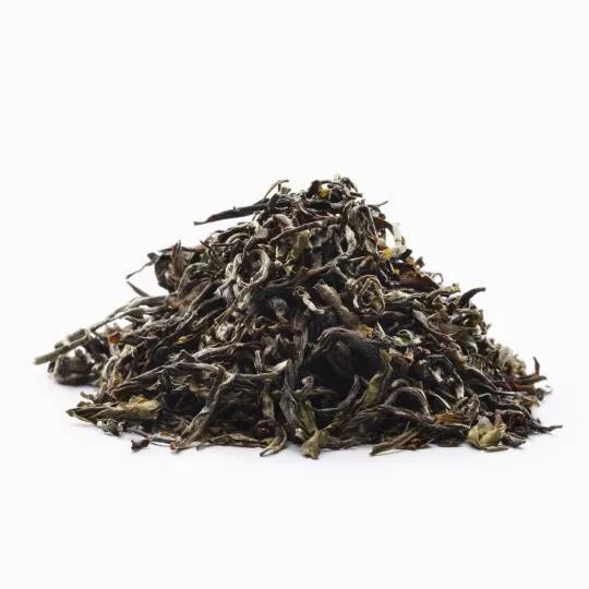 FF Sikkim Temi Te
