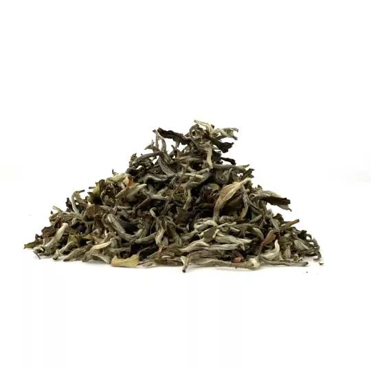 First Flush Darjeeling Namring Upper 2026 - FTGFOP1 / Clonal Muskatel