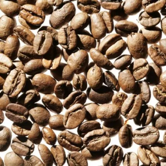 Panama Finca Santa Clara 